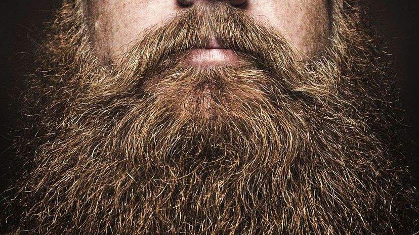 Sorry, dude. Model Chris John Millington called that big, bushy beard dead back in April 2015. RyanJLane/Getty Images
