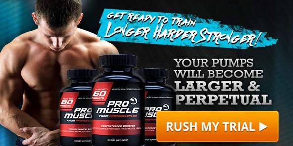 Pro Muscle Lab-1