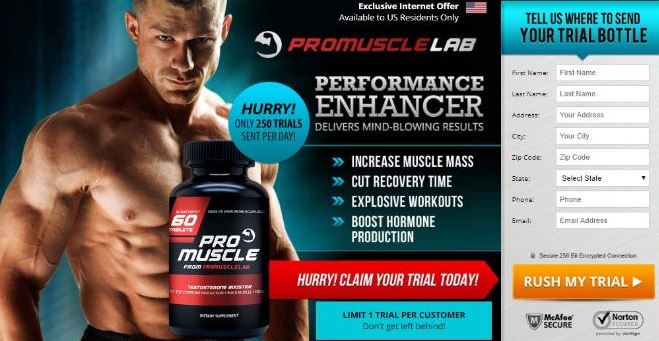Pro Muscle Lab-2